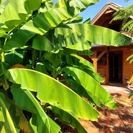 Holiday home Ujhegy *